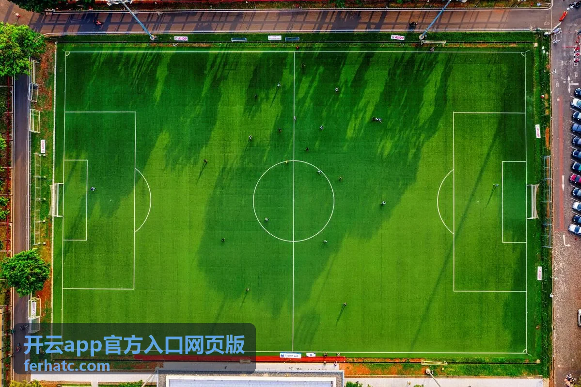 开云app官方入口网页版不同版本功能差异对照示意图