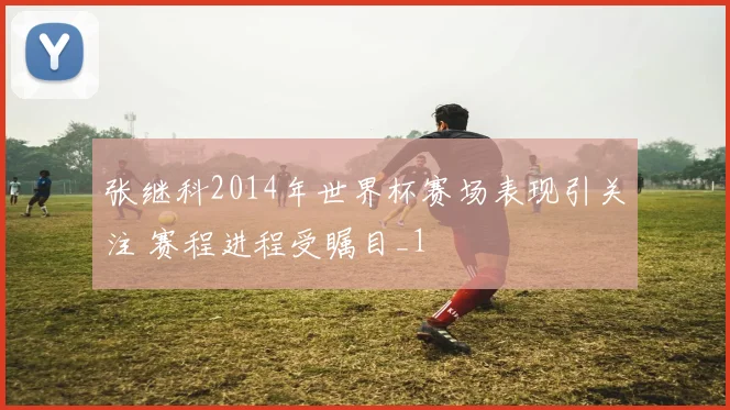 张继科2014年世界杯赛场表现引关注 赛程进程受瞩目_1