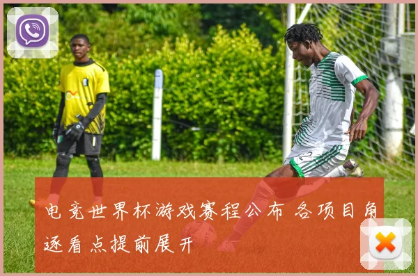 电竞世界杯游戏赛程公布 各项目角逐看点提前展开