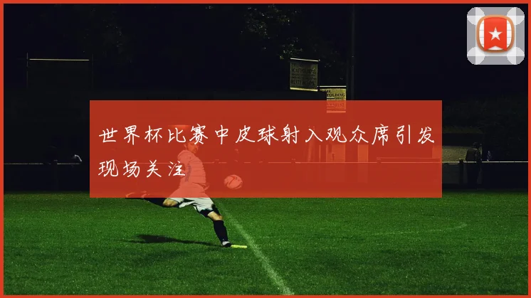 世界杯比赛中皮球射入观众席引发现场关注