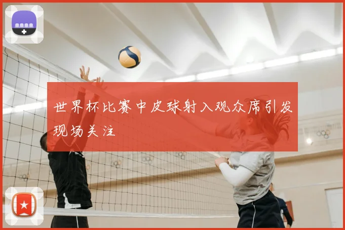 世界杯比赛中皮球射入观众席引发现场关注