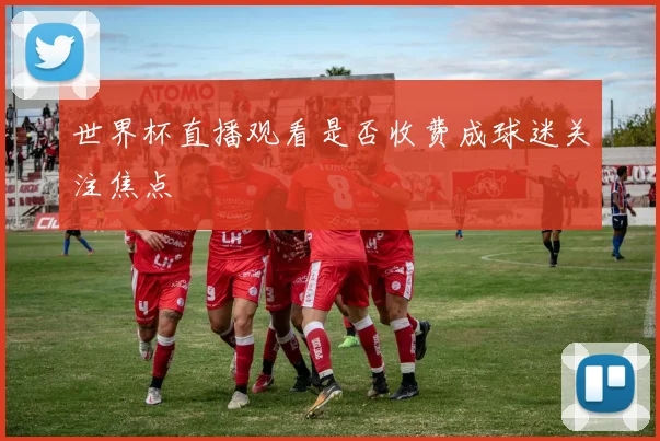 世界杯直播观看是否收费成球迷关注焦点