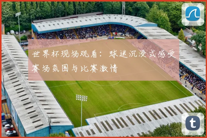 世界杯现场观看：球迷沉浸式感受赛场氛围与比赛激情
