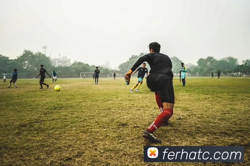 emc易倍官网登录平台生态图